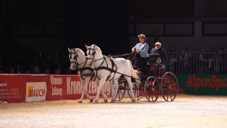 Kutsche bei den Linden, &copy; Sonja H&ouml;gler