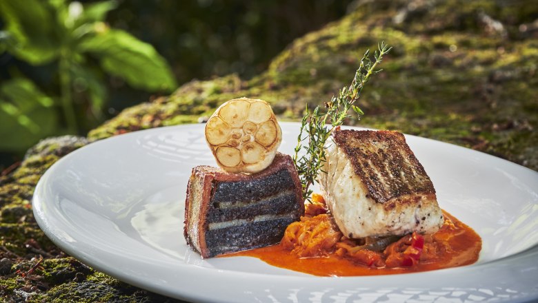 Zanderfilet auf pikantem Kraut mit Bluzenterrine und Knoblauch auf einem wei&szlig;en Teller.