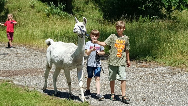 Spaziergang mit den Lamas, &copy; AWA-Erlebnispark GmbH