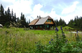 Eine Holzhütte in einer grünen Wiese mit Blumen und Bäumen im Hintergrund.