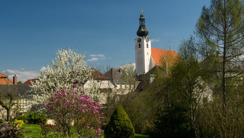 Kirchturm in Purgstall mit blühenden Bäumen im Vordergrund.