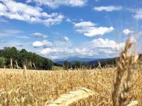 Herrlicher Ausblick zum Schneeberg, &copy; Wiener Alpen in Nieder&ouml;sterreich - Wechsel