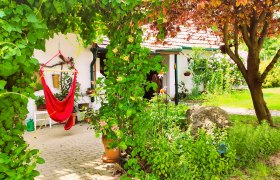 Ein grüner Innenhof mit Hängesessel, Pflanzen und Bäumen.