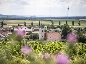 Blick auf Stixneusiedl, Kirche und H&auml;user