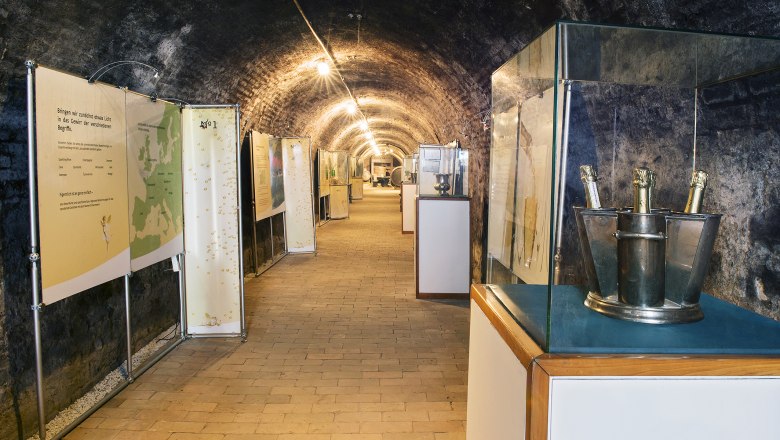 Ein Ausstellungsraum in einem Weinkeller mit Informationstafeln und Sektflaschen in K&uuml;beln.
