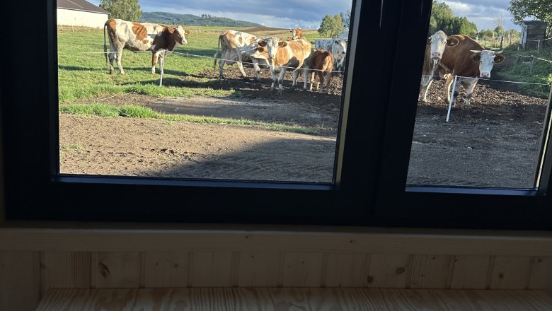 Aussicht aus dem Tiny Haus, &copy; deutsch