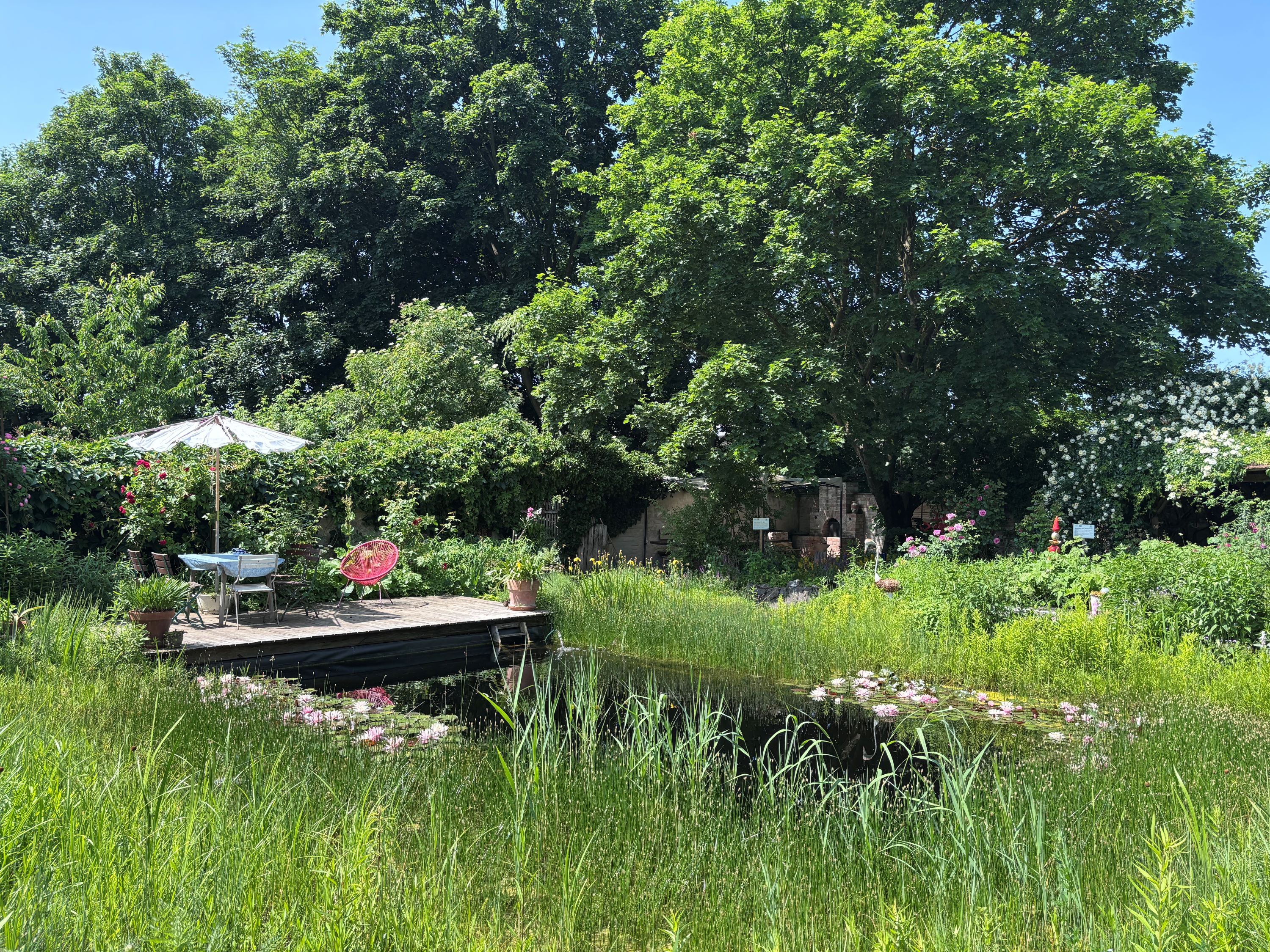Ein idyllischer Garten mit Teich, Holzterrasse, Tisch und Stühlen unter einem Sonnenschirm, umgeben von üppiger Vegetation und Bäumen.