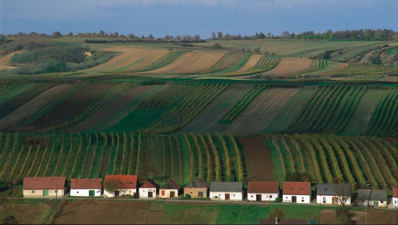 Weinberge im s&uuml;dlichen Weinviertel mit kleinen H&auml;usern im Vordergrund.