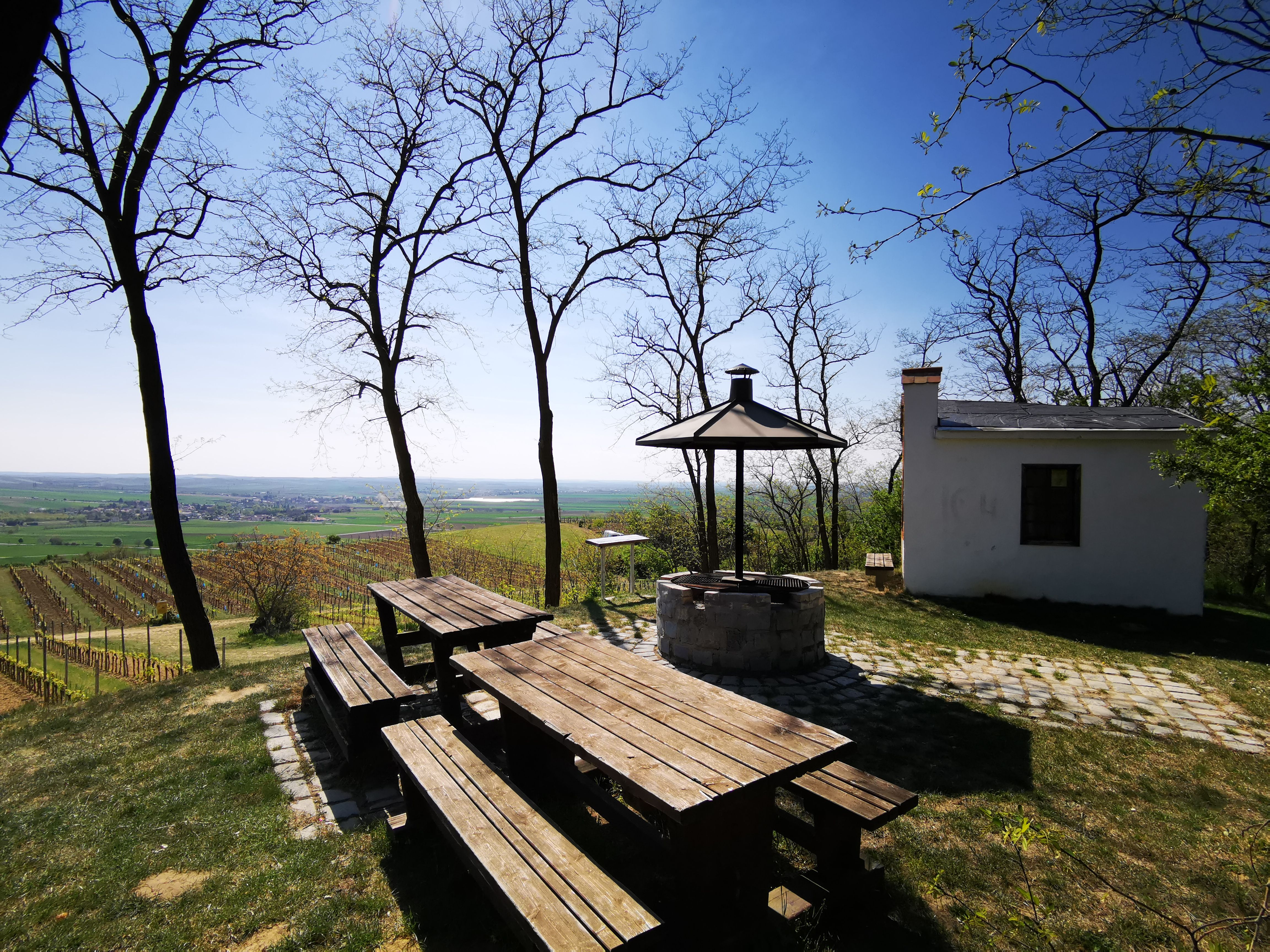 Picknickplatz mit Holztischen und Grill auf einem Hügel mit Blick auf Weinberge und ein kleines Gebäude.