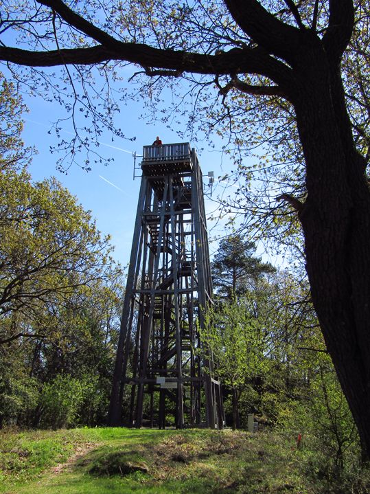 Ein hölzerner Aussichtsturm im Wald, umgeben von Bäumen und blauem Himmel.