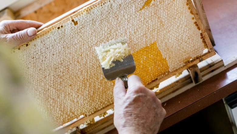 Urlaub am Zwergerlhof, &copy; schwarz-koenig.at