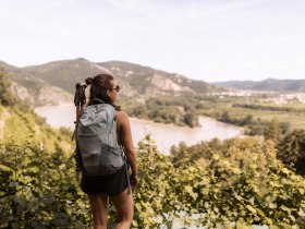 Welterbesteig Wachau, Blick auf die Pritzenau, &copy; Wachau-Nibelungengau-Kremstal