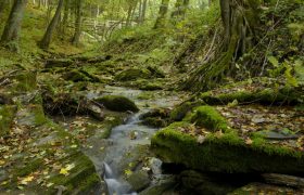 Idyllisches Aumühltal mit dem ‚Weg der Stille‘