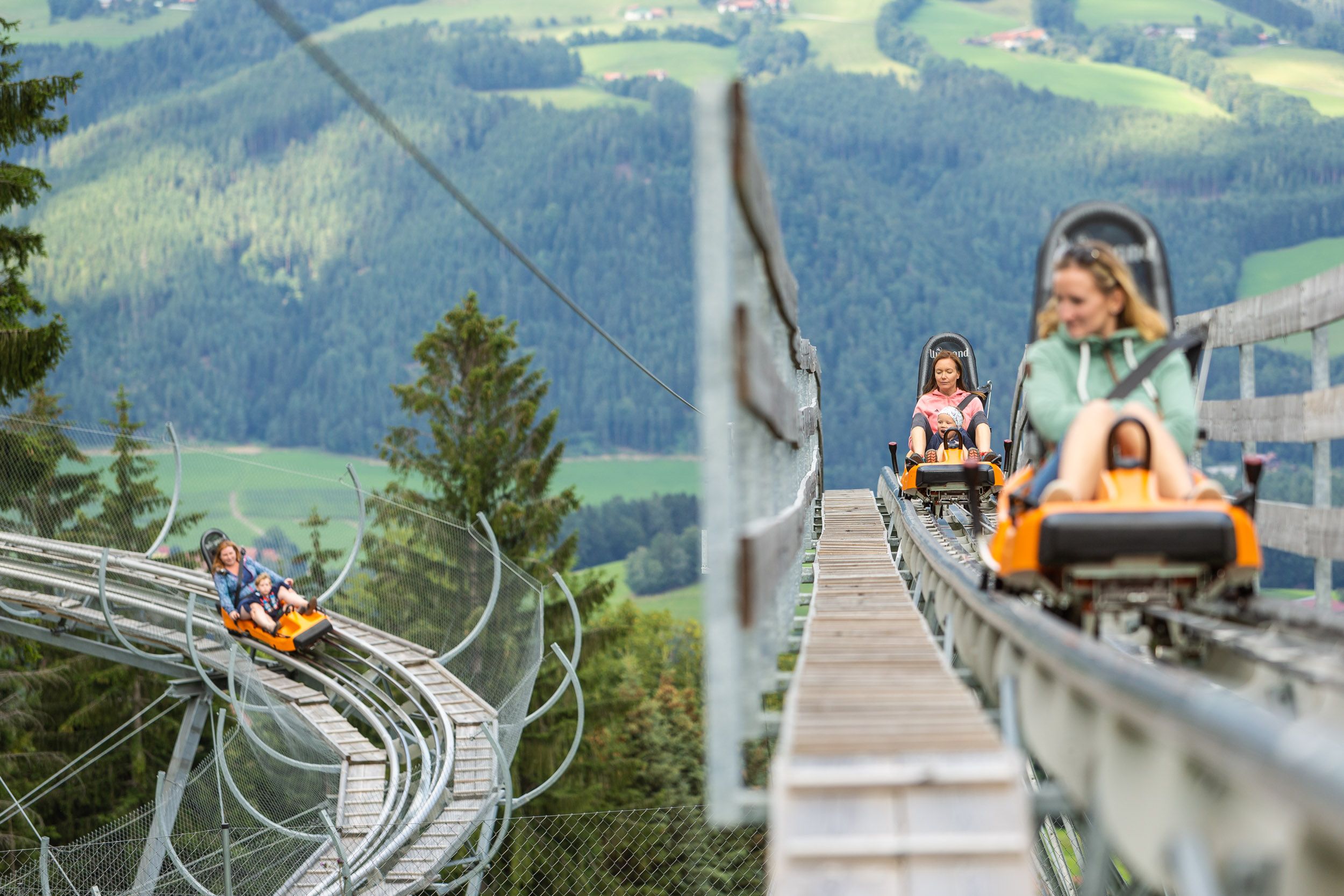 Menschen fahren auf einer Sommerrodelbahn in den Bergen.