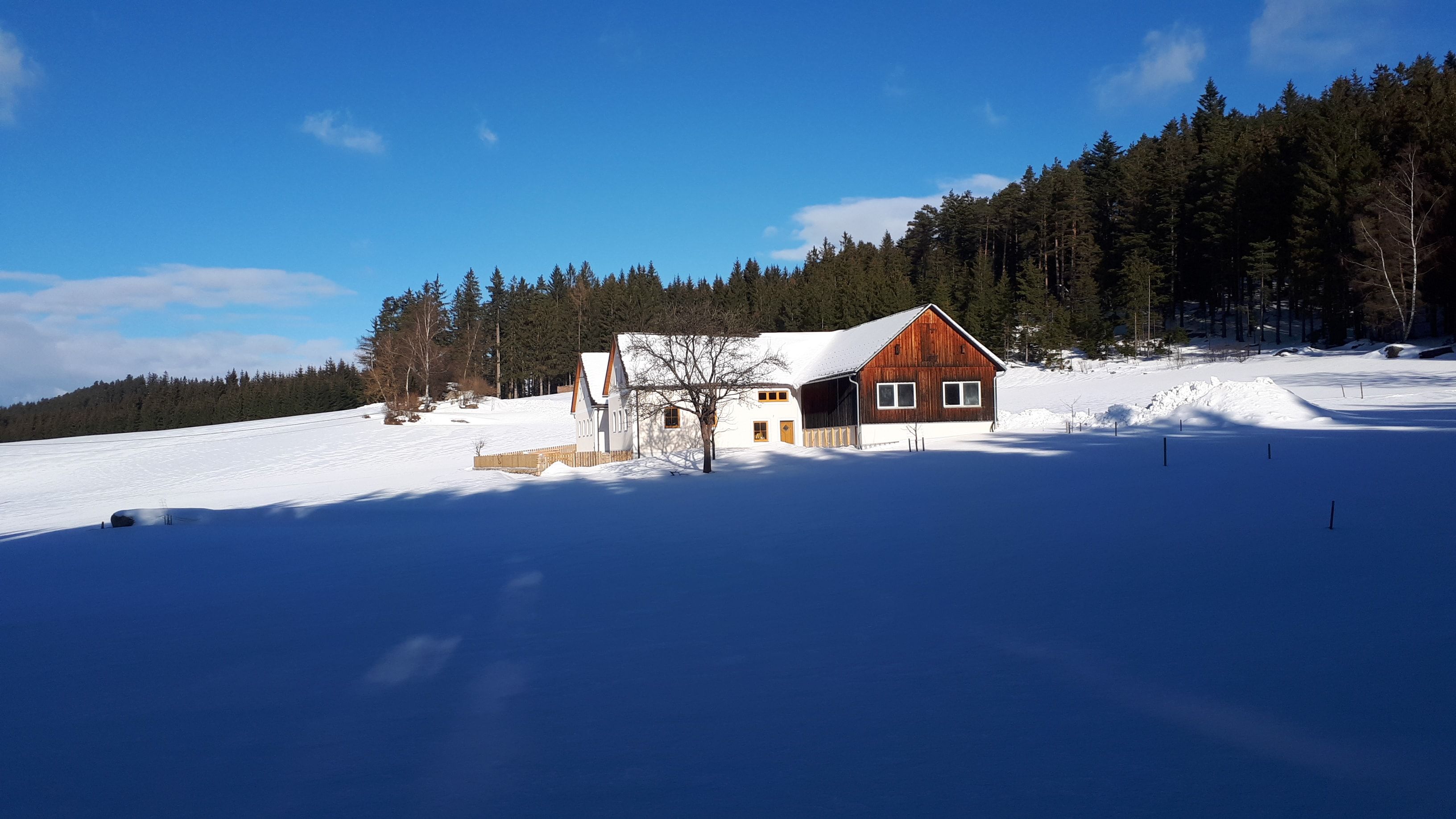 Winteransicht