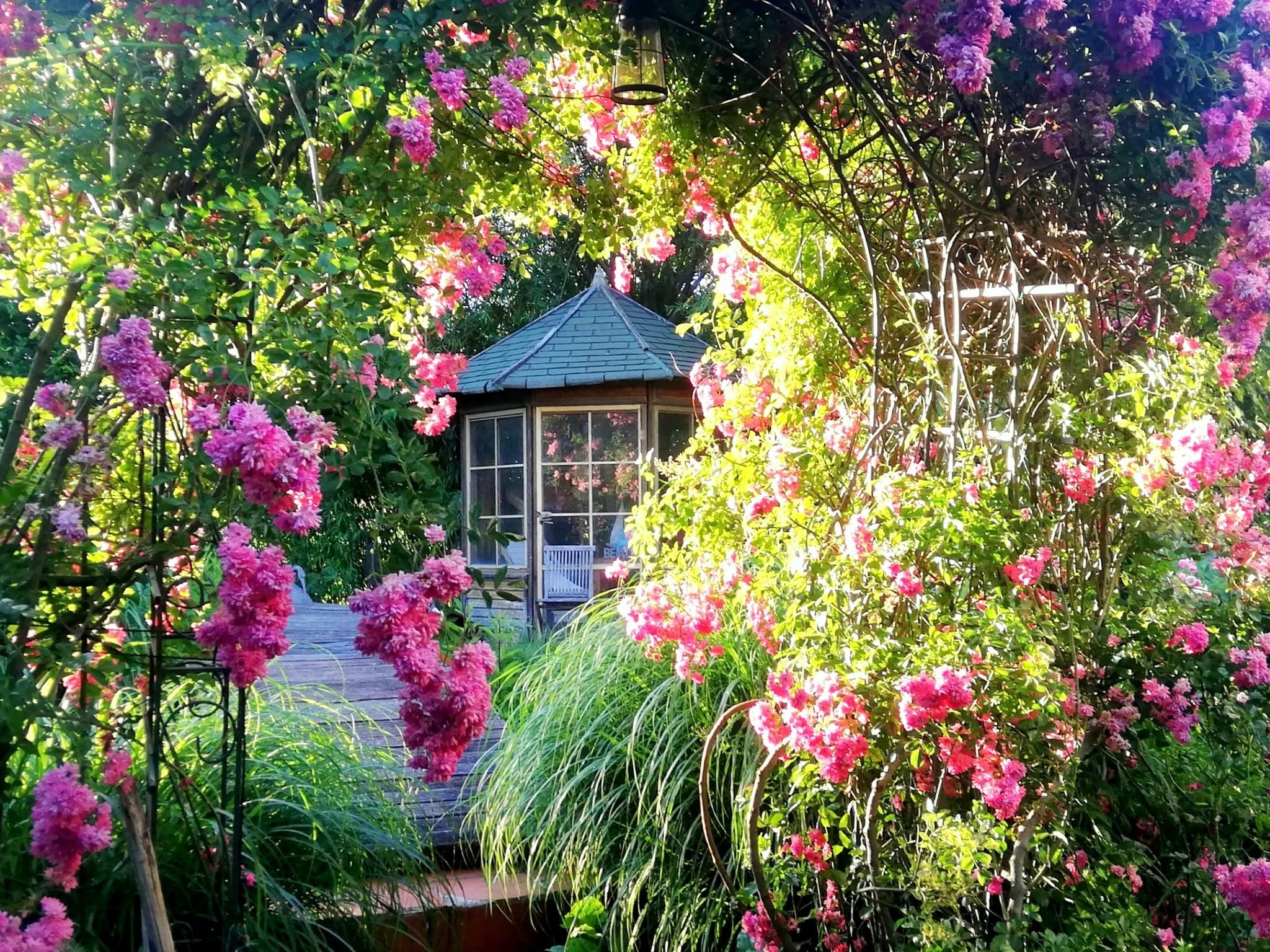 Ein Garten mit blühenden rosa Blumen und einem Pavillon im Hintergrund.