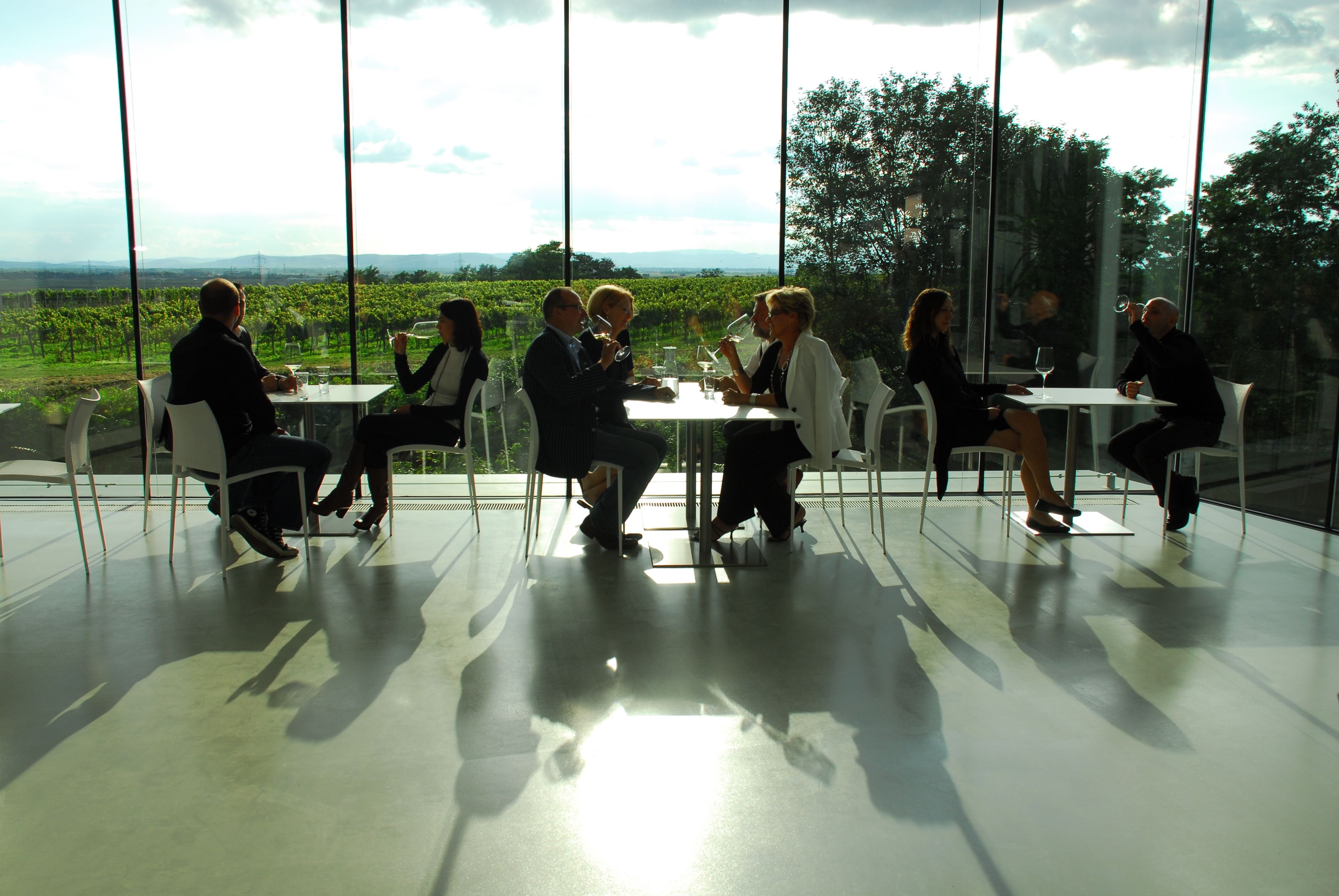 Menschen sitzen in einer modernen Vinothek mit Blick auf Weinberge.
