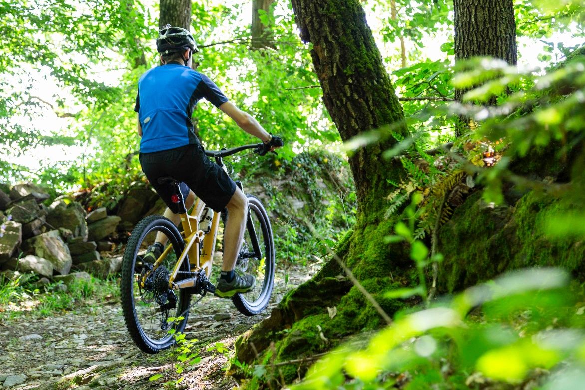 Mountainbiker auf Waldpfaden