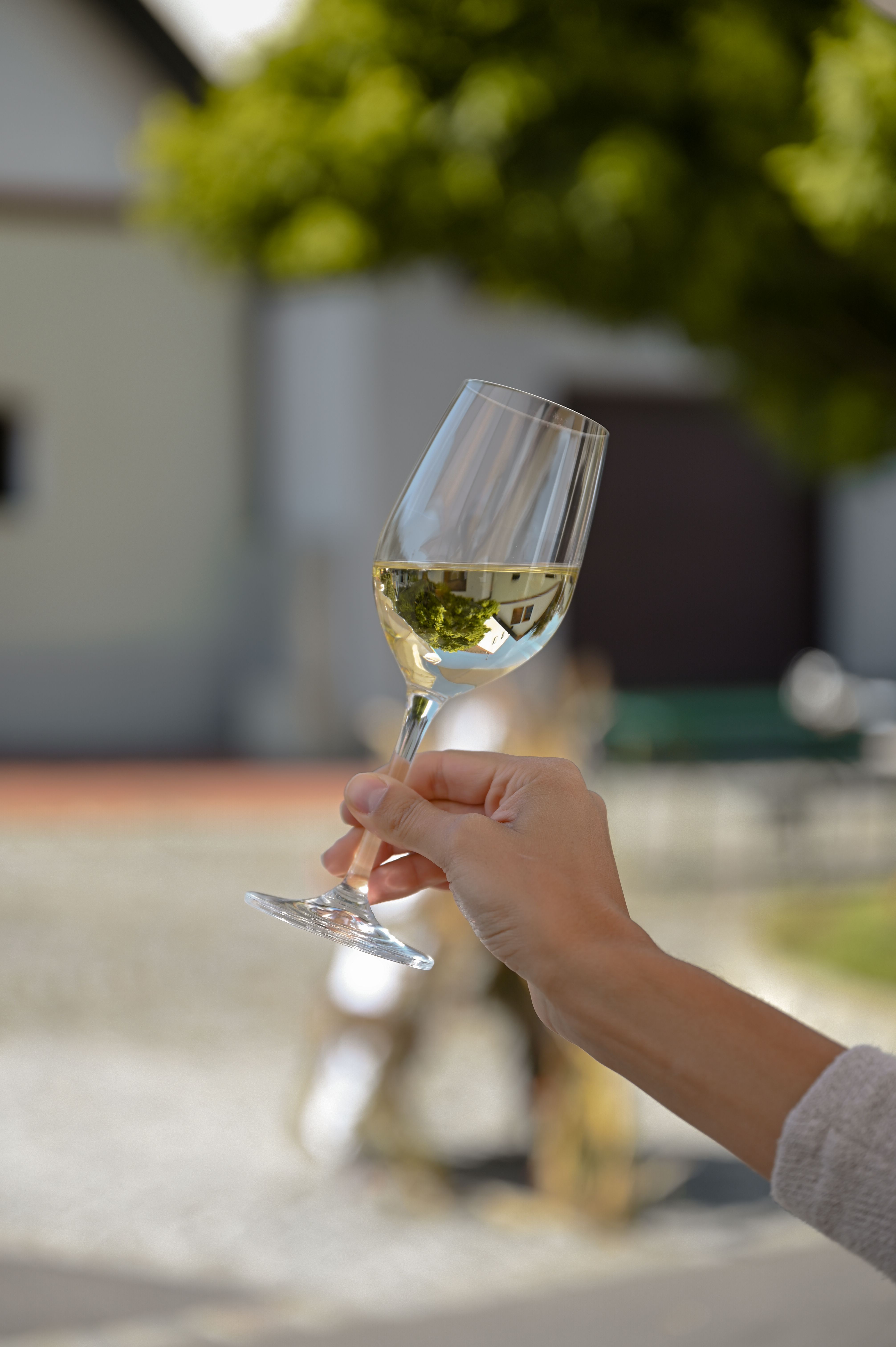 Eine Hand hält ein Weinglas mit Weißwein im Freien.