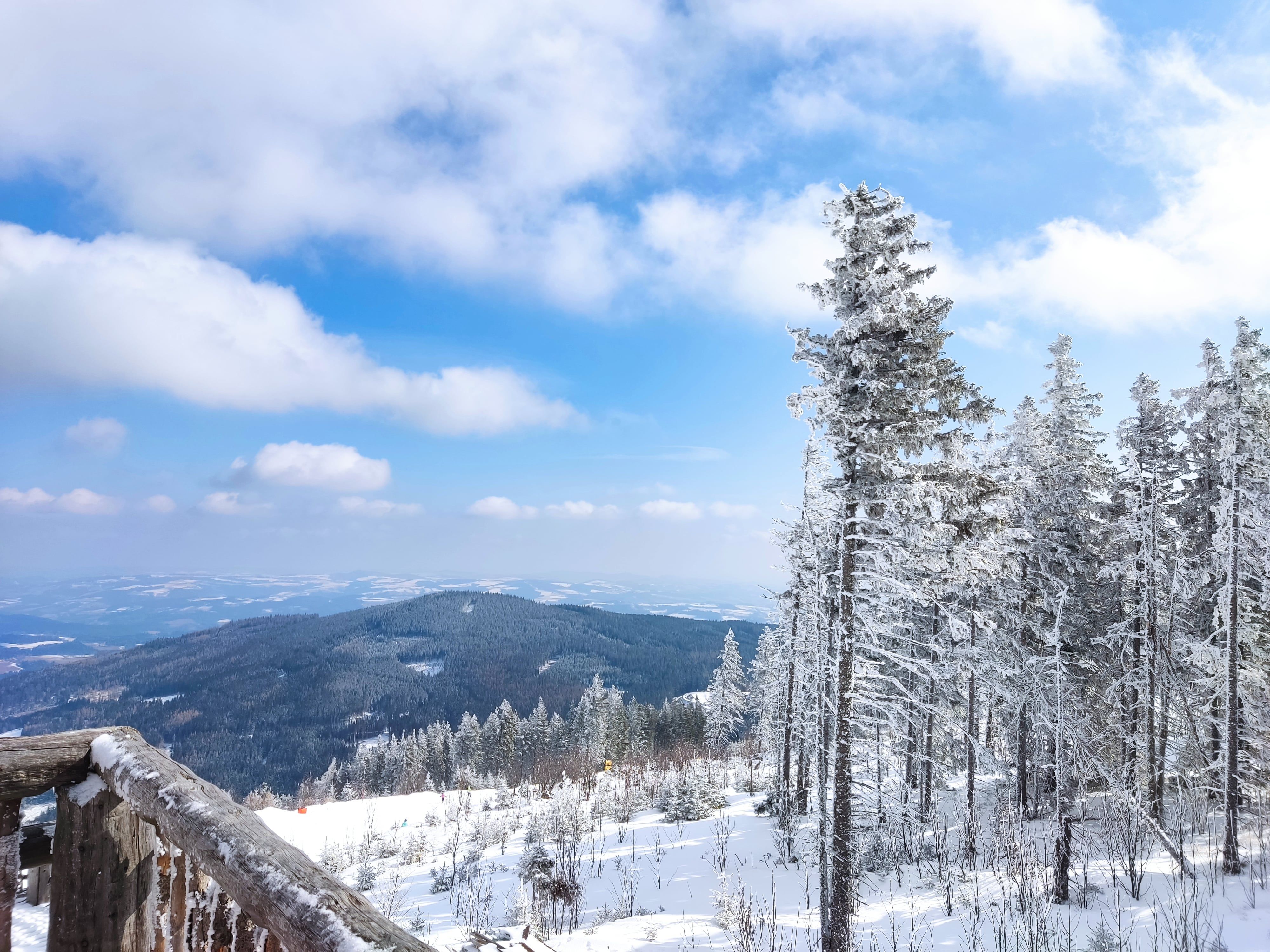 Verschneite Berglandschaft mit Bäumen und blauem Himmel.