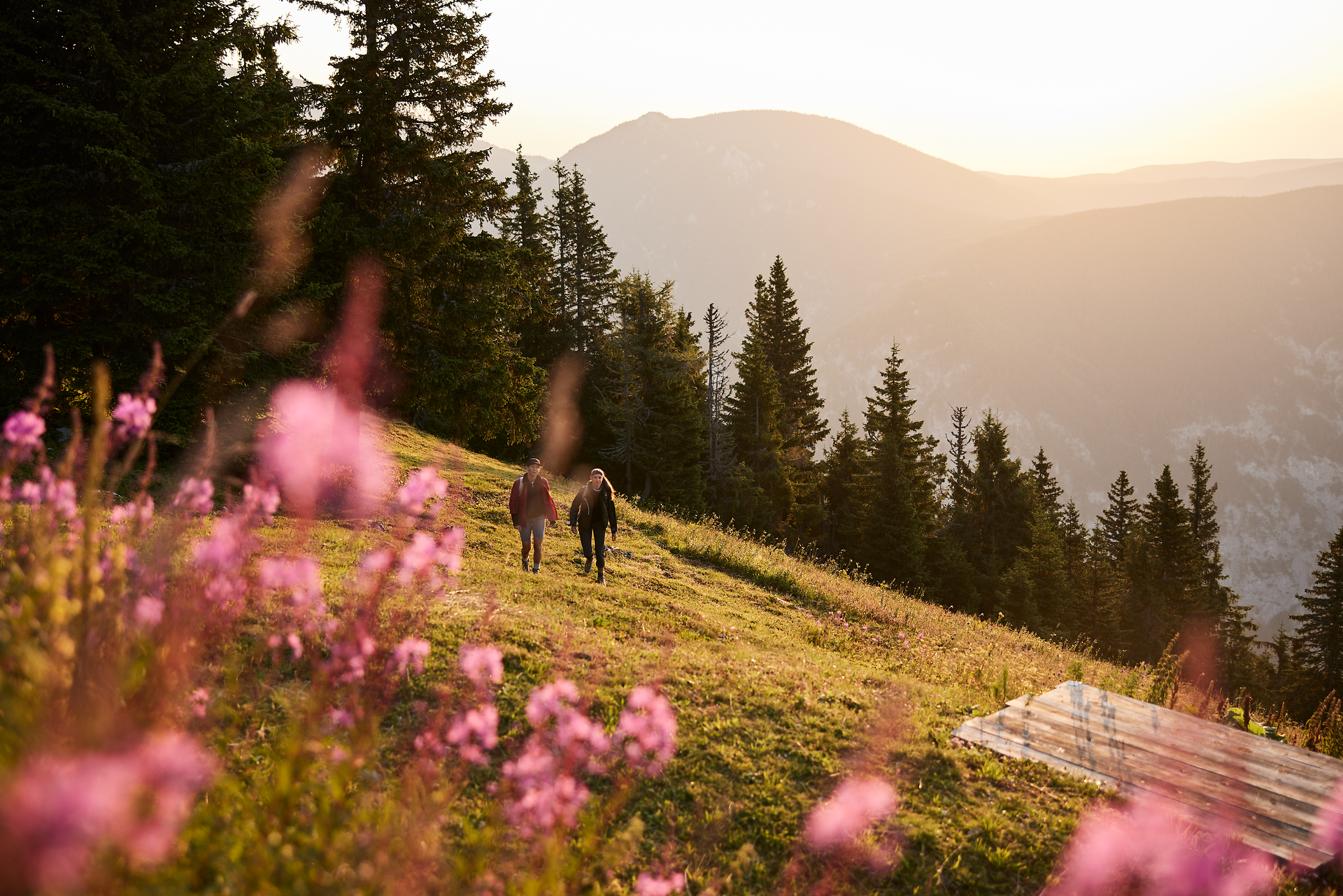 Sanfte Hügel und blühende Wiesen laden zu einem unvergesslichen Wanderausflug ein. Die warmen Sonnenstrahlen tauchen die Landschaft in goldenes Licht und schaffen eine harmonische Atmosphäre. Hier, umgeben von majestätischen Bergen und duftenden Wildblumen, wird der Sommer in den Alpen zum Erlebnis.