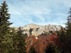 D&uuml;rrenstein, &copy; Mostviertel