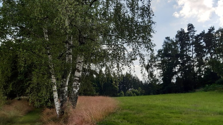 Umgebung, &copy; Ferienhaus Leopold