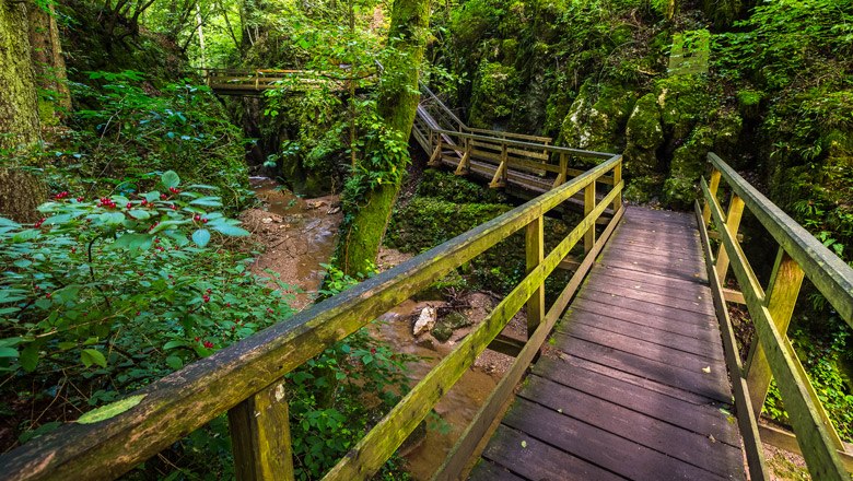 Holzstege in der gr&uuml;nen Johannesbach-Klamm.