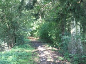 Zum Leisberg, Nr. 4 (blau), &copy; Stadtgemeinde Gf&ouml;hl