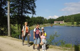 Schwemmweg, © Waldviertel Tourismus