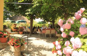 Ein Garten mit blühenden Hortensien und Menschen, die an Tischen unter Bäumen sitzen.