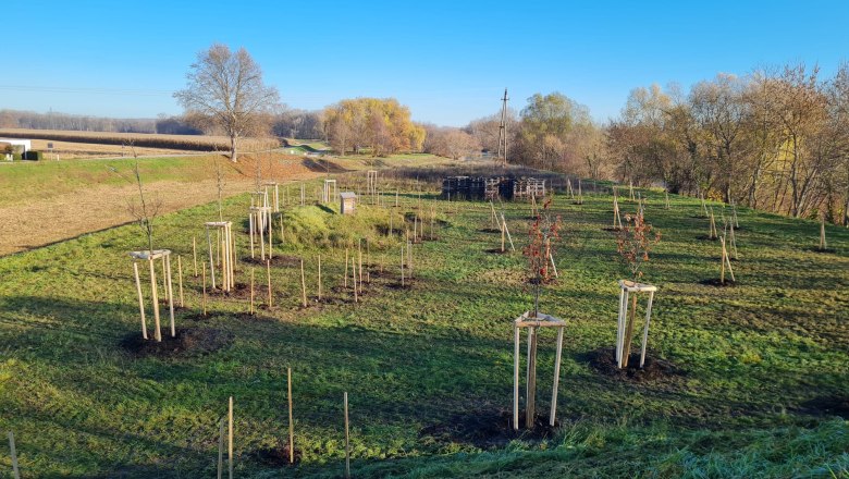 &ouml;kologische Vorzeigeflaeche, &copy; Stadtgemeinde Traismauer