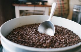 Bernd Salat, &copy; Daniel Gollner