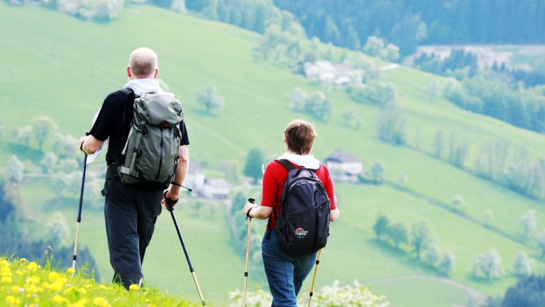 Zwei Wanderer mit Rucks&auml;cken und Wanderst&ouml;cken auf einer gr&uuml;nen Wiese mit gelben Blumen, im Hintergrund eine h&uuml;gelige Landschaft.
