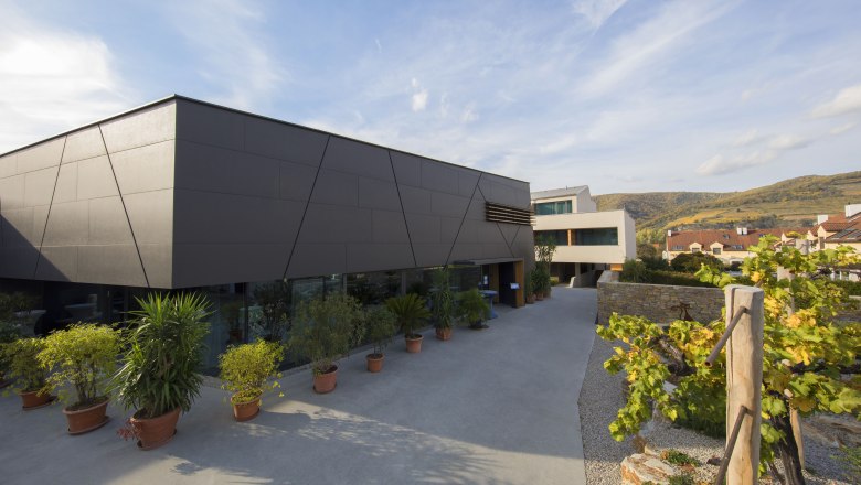 Weinlodge umgeben von Weingärten, © Weinlodge Siedler Weinlodge umgeben von Weingärten, © Weinlodge Siedler