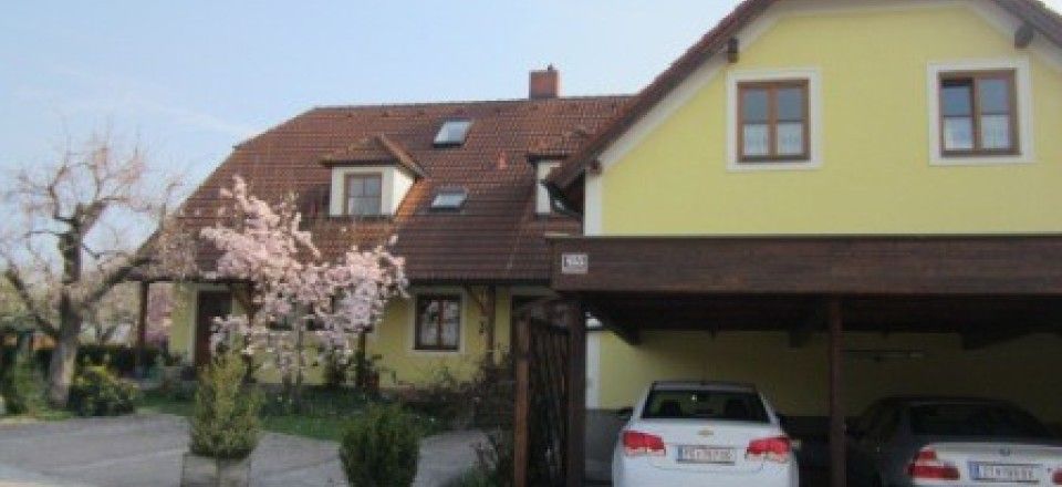 Gelbes Gästehaus mit blühendem Baum und zwei geparkten Autos.