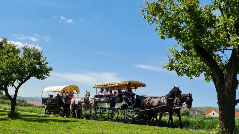 Kremser Fiaker Gebr&uuml;der Wolf, &copy; Kremser Fiaker Gebr&uuml;der Wolf