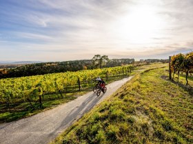 Zweigelt-Strecke, &copy; POV