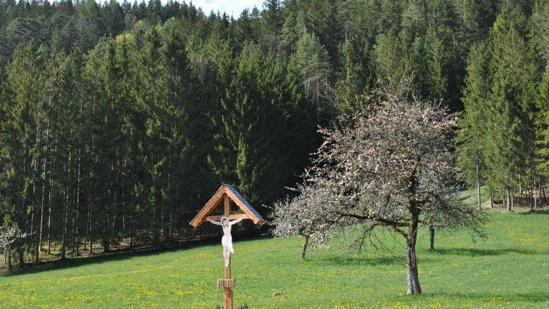 Landschaft hinter dem Haus, &copy; Patrick Leitner
