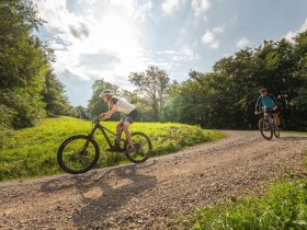 MTB Wienerwald, &copy; Wienerwald Tourismus GmbH / Christoph Kerschbaum
