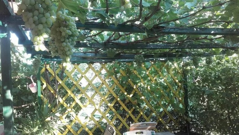 Pergola im Garten von Paul Seel, &copy; Paul Seel