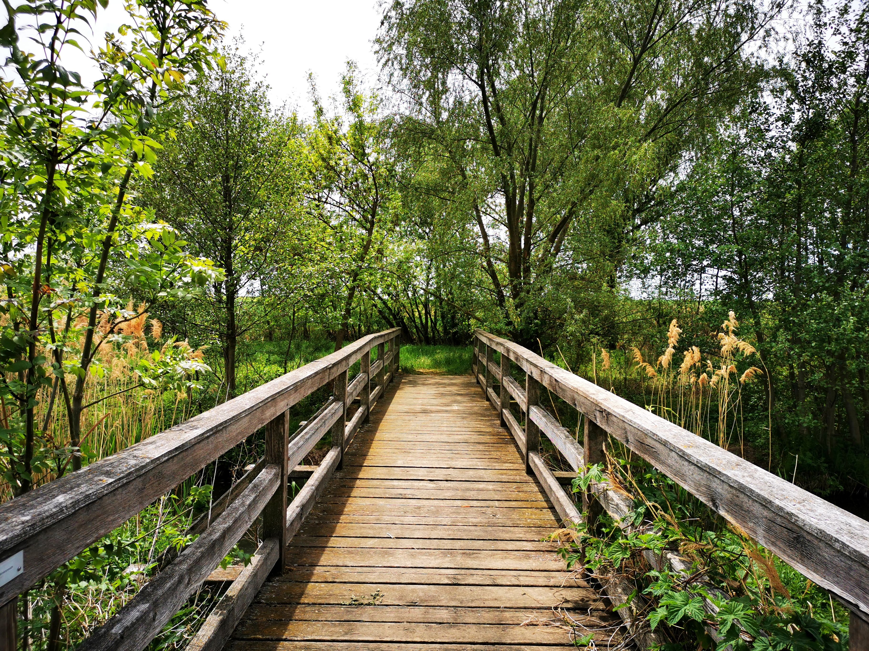 Naherholungsgebiet Roseldorf