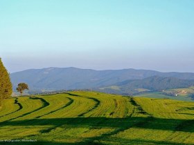 zwischen Prinzbauer und Kloster Hochstra&szlig;, &copy; Christian Wolfsgruber