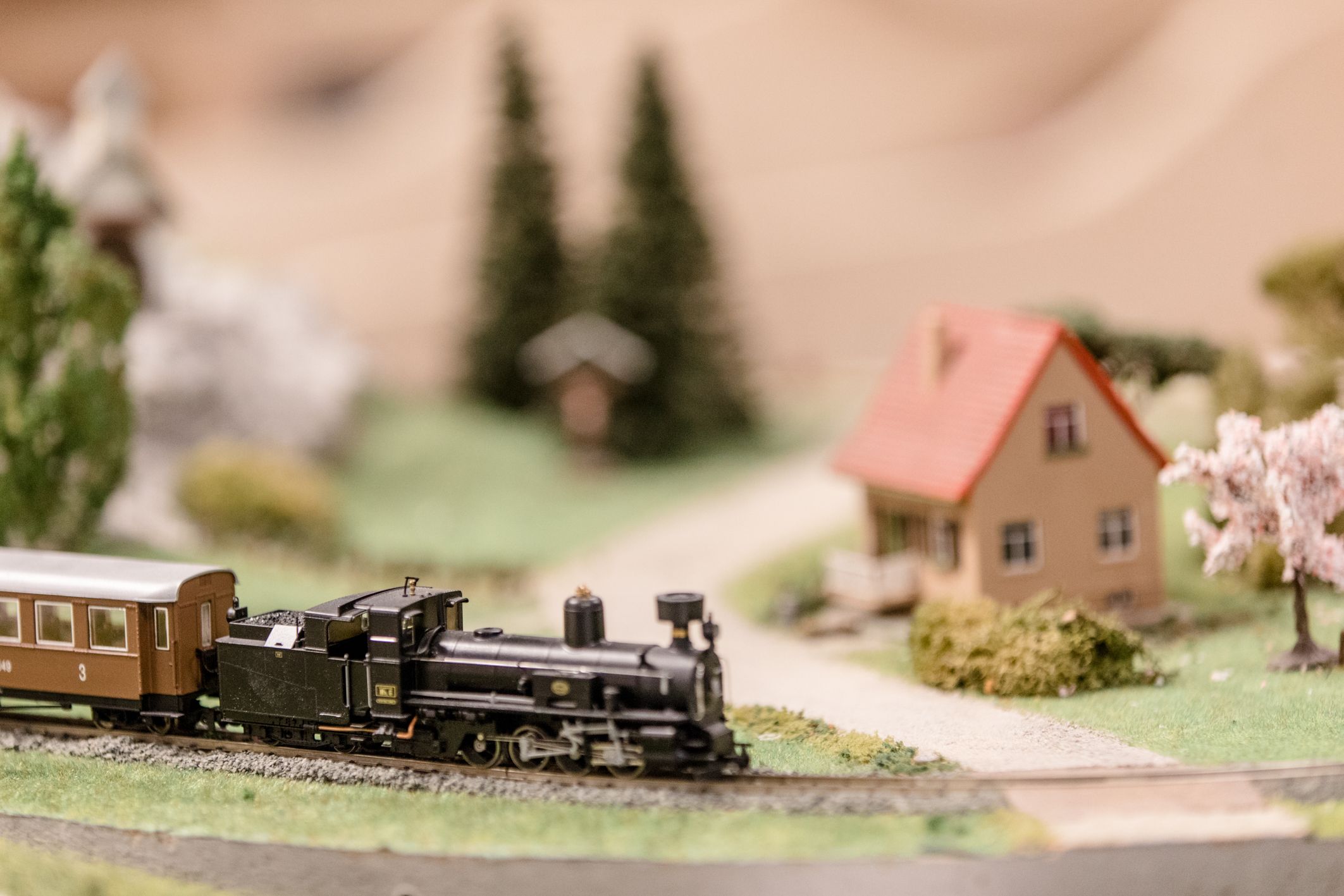 Modellbahn mit Dampflok und Waggon auf einer Miniaturlandschaft mit Haus und Bäumen.