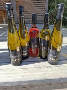 5-Goldene-2025-Weinbau Rester, &copy; Weinbau Rester