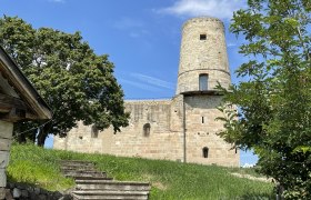 Ruine Markgrafneusiedl mit Turm und B&auml;umen im Vordergrund.