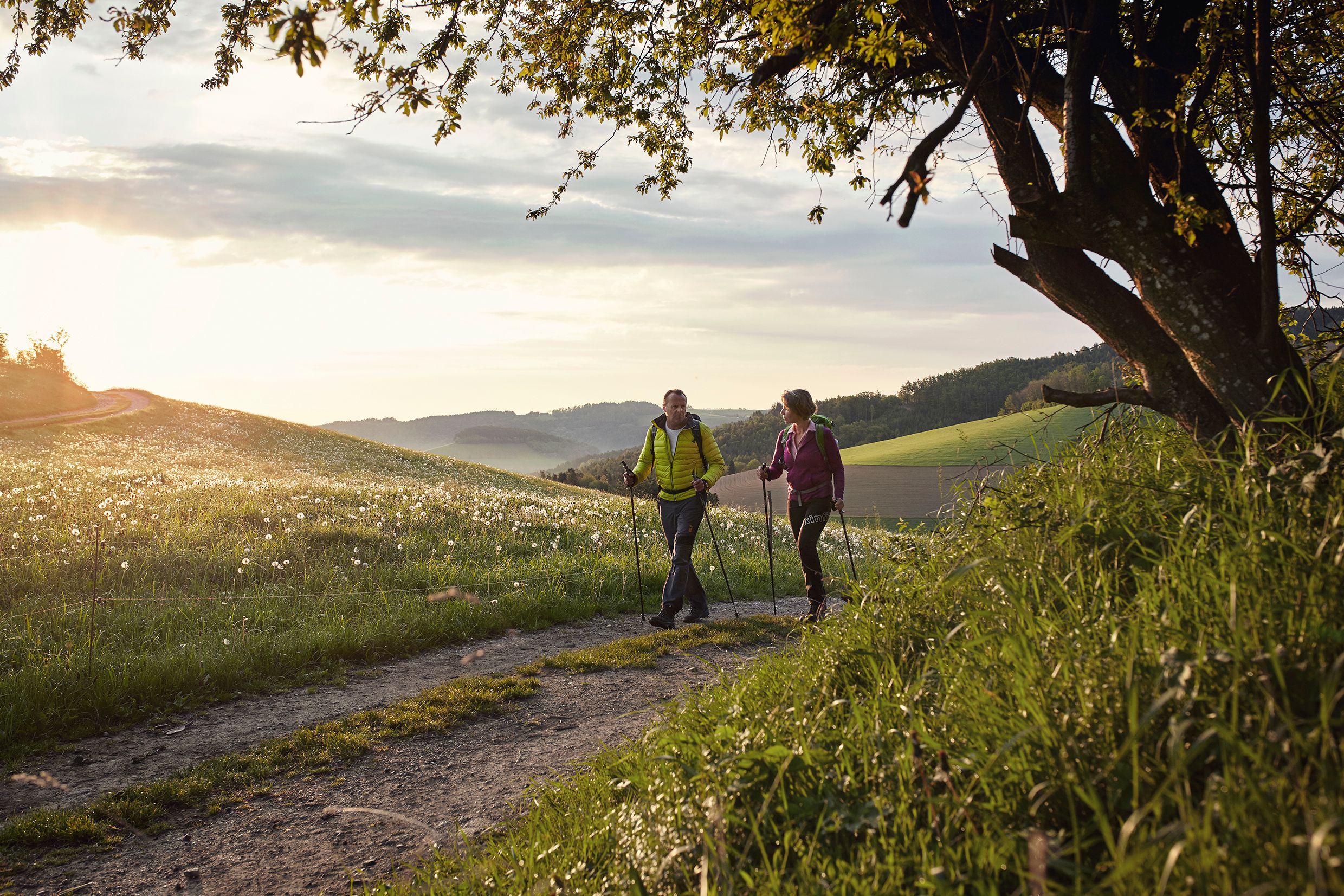 Zwei Personen wandern auf einem Feldweg bei Sonnenuntergang in einer hügeligen Landschaft.