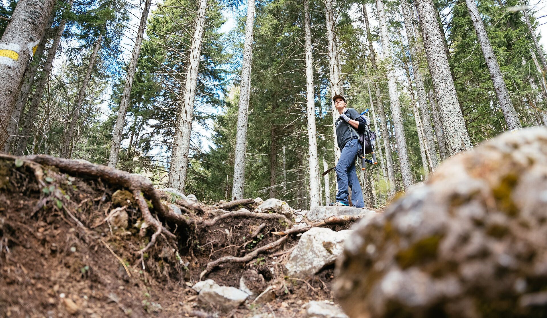 Inmitten der majestätischen Bäume der Rax erlebst du die Ruhe und Schönheit der Natur. Der Pfad führt dich durch eine atemberaubende Landschaft, wo die frische Bergluft und das sanfte Licht der Sonne eine harmonische Atmosphäre schaffen. Hier, umgeben von der unberührten Natur, wird jeder Schritt zu einem unvergesslichen Erlebnis.