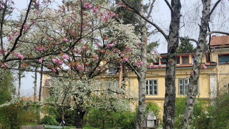 Villa Pannonica Wolfsthal, Garten mit Bäumen
