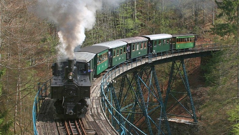 Dampflok auf einer Br&uuml;cke im Wald